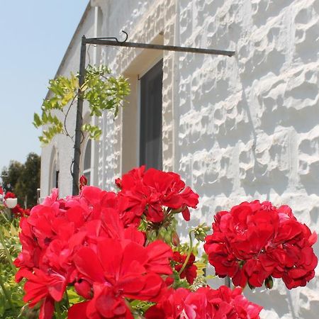 B&B Stella Marina Manfredonia Exterior photo